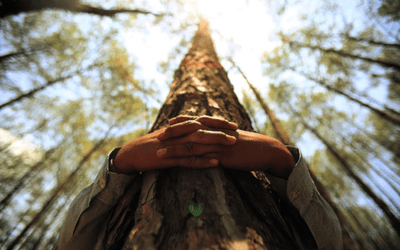 “Ciclo Especial: semana da natureza” meio ambiente, saúde e bem-estar